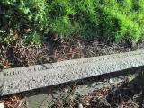image of grave number 362823